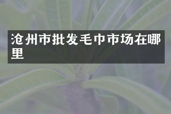 沧州市批发毛巾市场在哪里