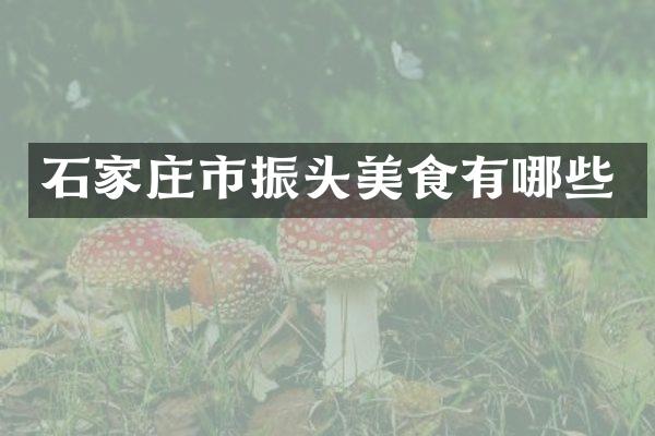石家庄市振头美食有哪些