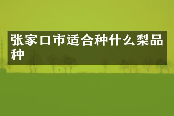 张家口市适合种什么梨品种