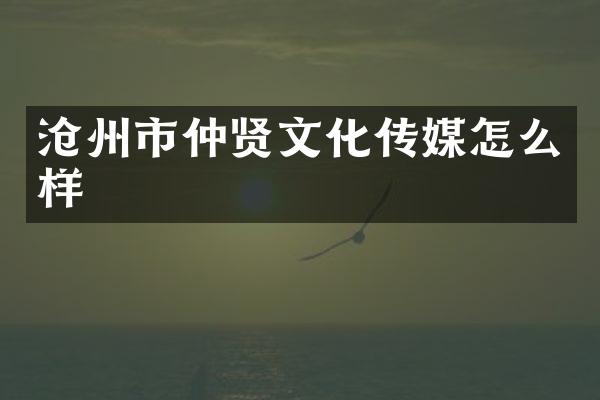 沧州市仲贤文化传媒怎么样