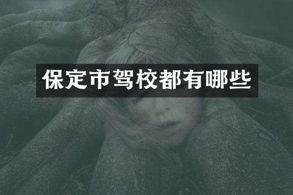 保定市驾校都有哪些