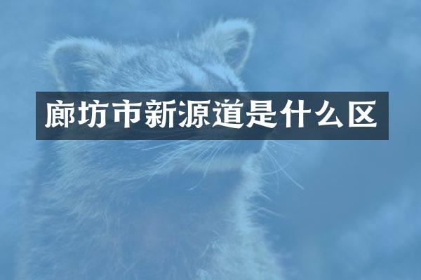 廊坊市新源道是什么区