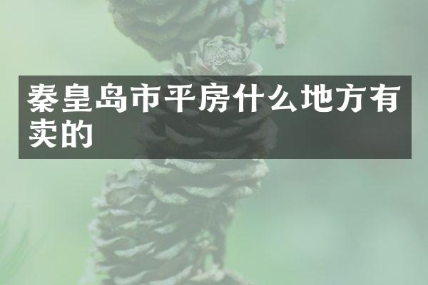 秦皇岛市平房什么地方有卖的