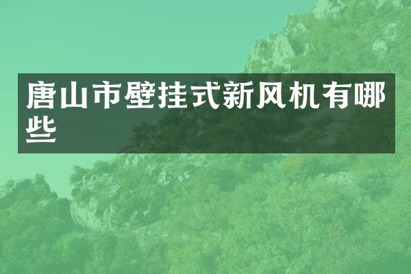 唐山市壁挂式新风机有哪些