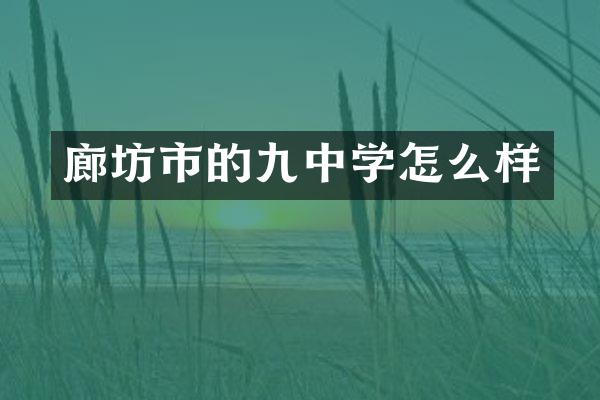 廊坊市的九中学怎么样