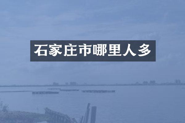 石家庄市哪里人多