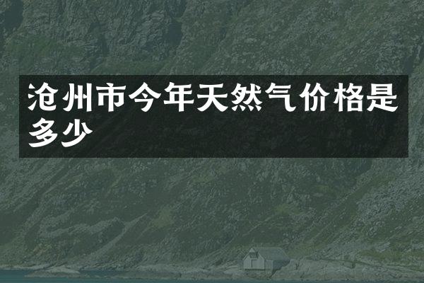 沧州市今年天然气价格是多少