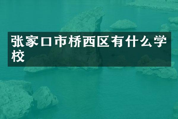 张家口市桥西区有什么学校