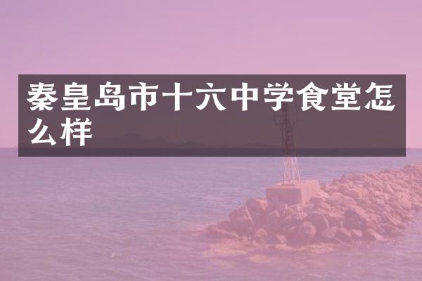 秦皇岛市十六中学食堂怎么样