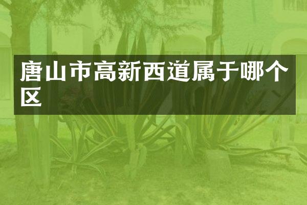 唐山市高新西道属于哪个区