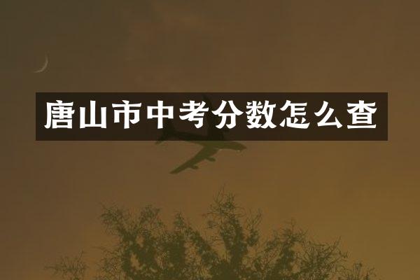 唐山市中考分数怎么查