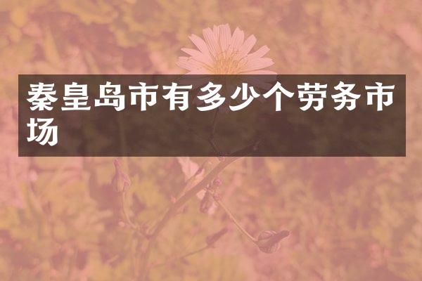 秦皇岛市有多少个劳务市场