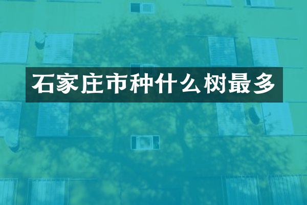 石家庄市种什么树最多