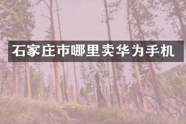 石家庄市哪里卖华为手机