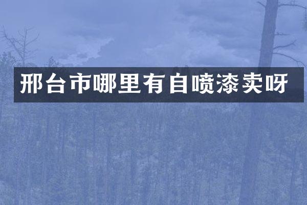 邢台市哪里有自喷漆卖呀