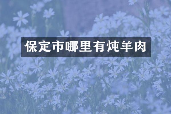 保定市哪里有炖羊肉