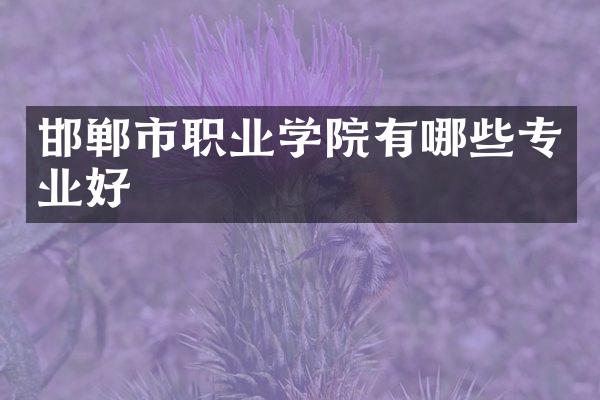 邯郸市职业学院有哪些专业好