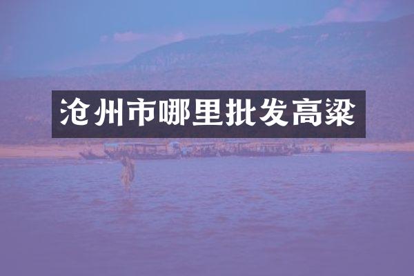 沧州市哪里批发高粱