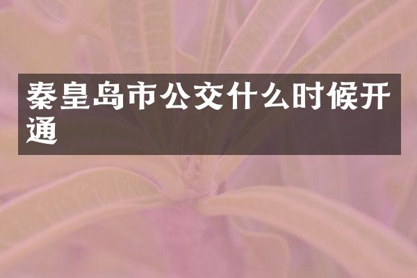 秦皇岛市公交什么时候开通
