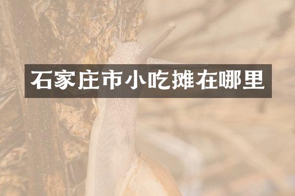 石家庄市小吃摊在哪里