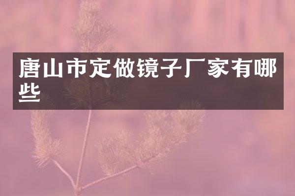 唐山市定做镜子厂家有哪些