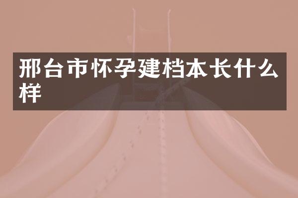 邢台市怀孕建档本长什么样