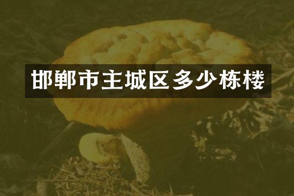 邯郸市主城区多少栋楼