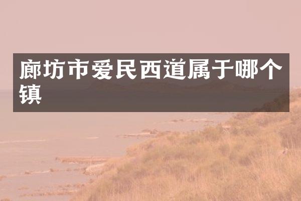 廊坊市爱民西道属于哪个镇