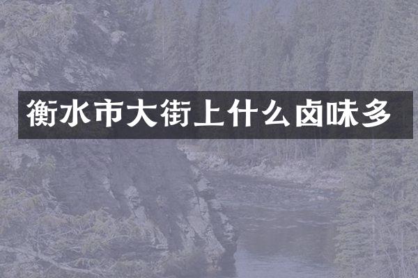 衡水市大街上什么卤味多