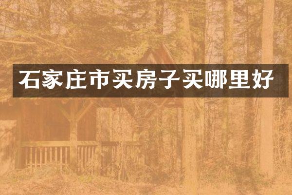 石家庄市买房子买哪里好