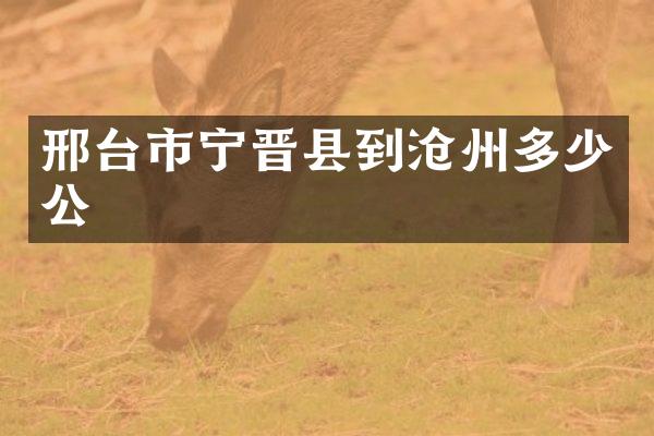 邢台市宁晋县到沧州多少公