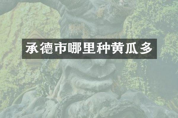承德市哪里种黄瓜多