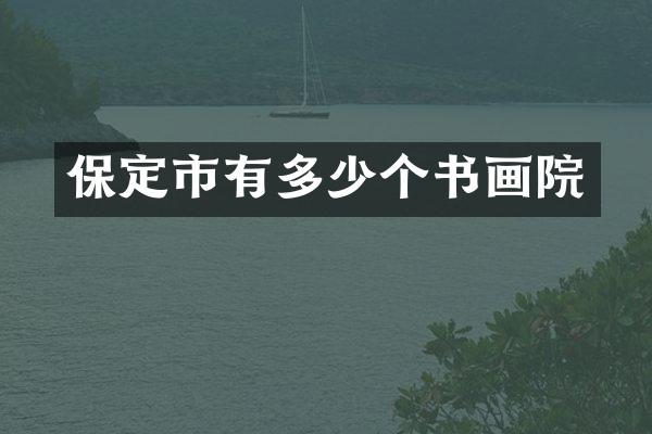 保定市有多少个书画院