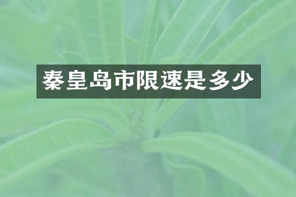 秦皇岛市限速是多少
