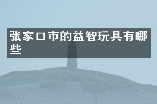 张家口市的益智玩具有哪些