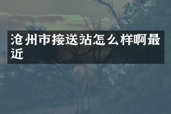 沧州市接送站怎么样啊最近