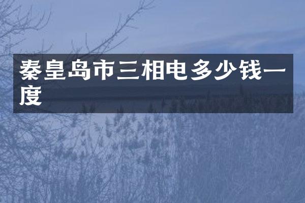 秦皇岛市三相电多少钱一度