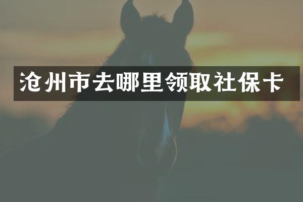 沧州市去哪里领取社保卡