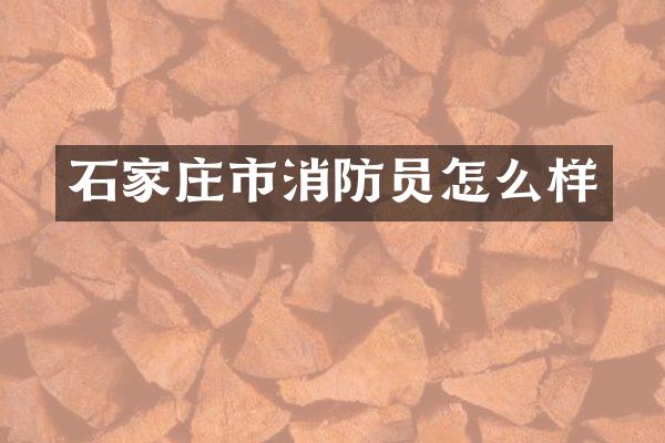 石家庄市消防员怎么样