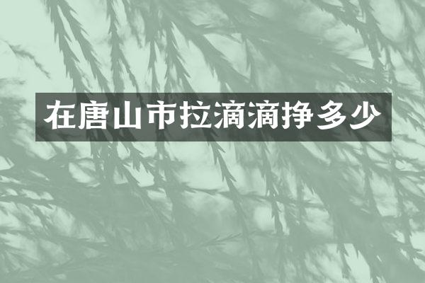 在唐山市拉滴滴挣多少