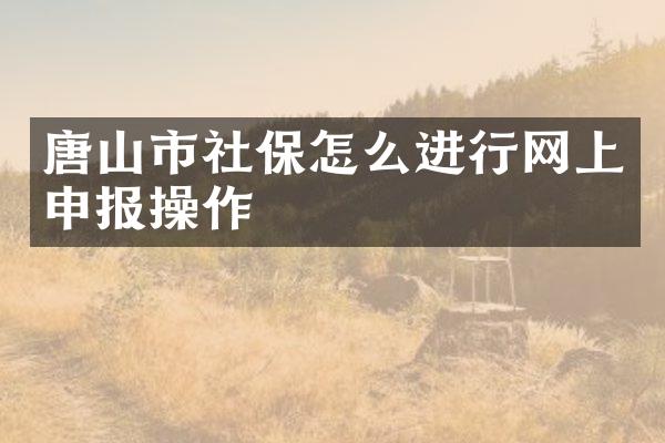 唐山市社保怎么进行网上申报操作