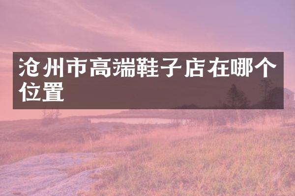 沧州市高端鞋子店在哪个位置