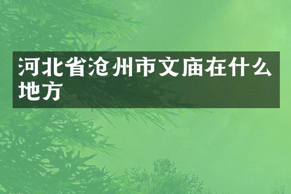河北省沧州市文庙在什么地方