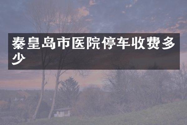 秦皇岛市医院停车收费多少