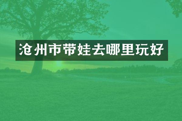 沧州市带娃去哪里玩好