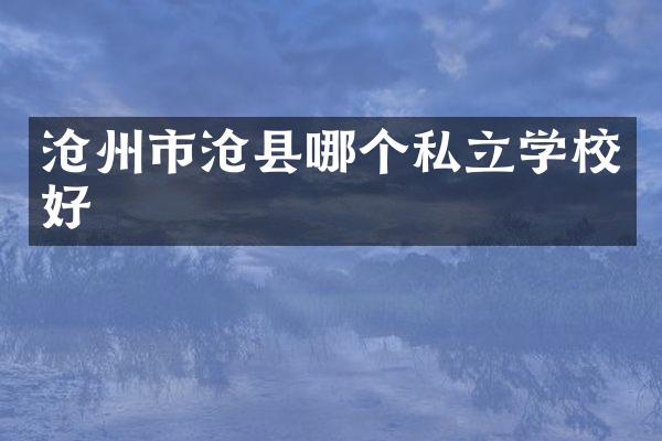 沧州市沧县哪个私立学校好