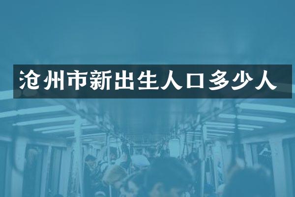 沧州市新出生人口多少人