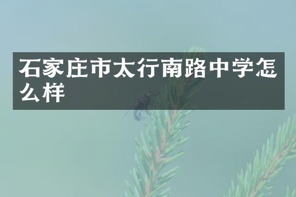 石家庄市太行南路中学怎么样