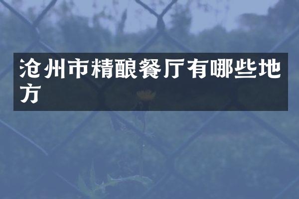 沧州市精酿餐厅有哪些地方
