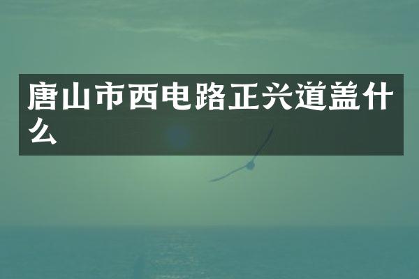 唐山市西电路正兴道盖什么